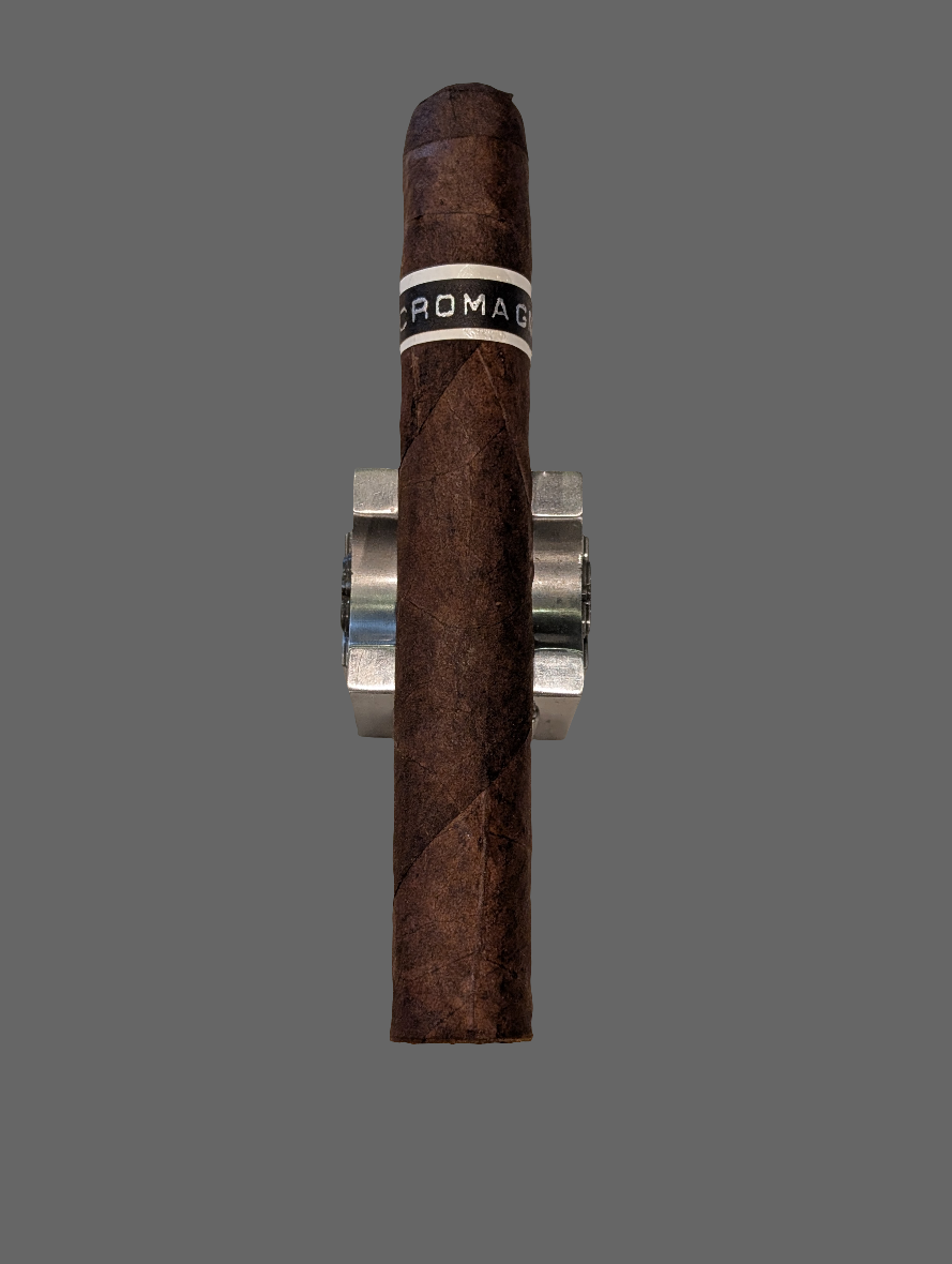 RoMa Craft CroMagnon PA Cranium