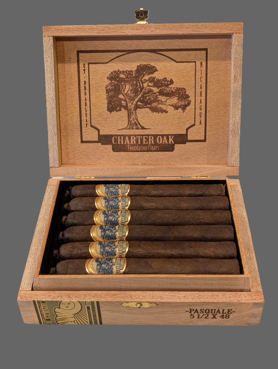 Foundation Charter Oak Pasquale Bx