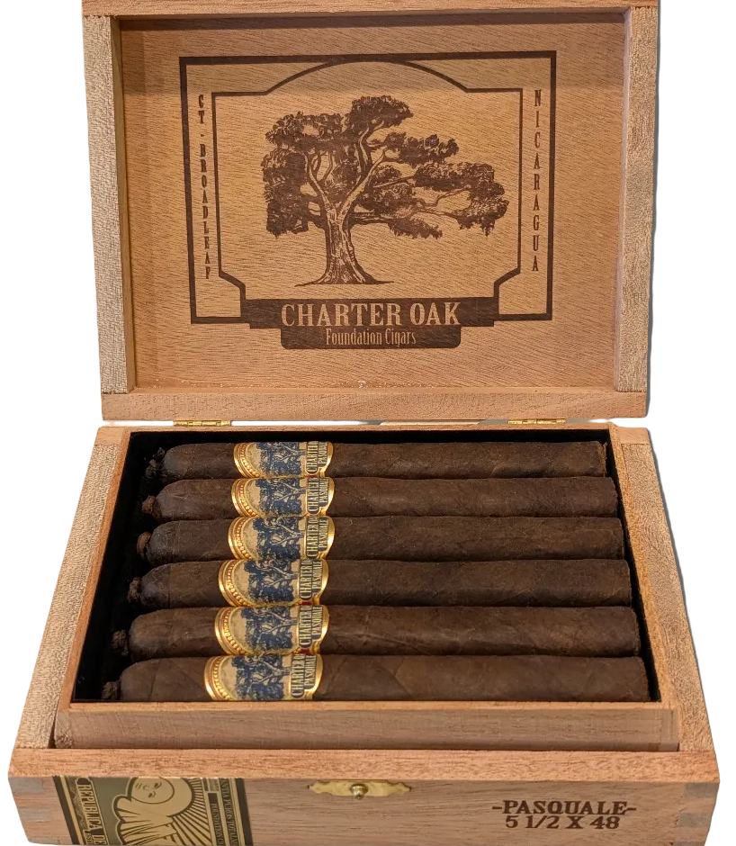 Foundation Charter Oak Pasquale Bx