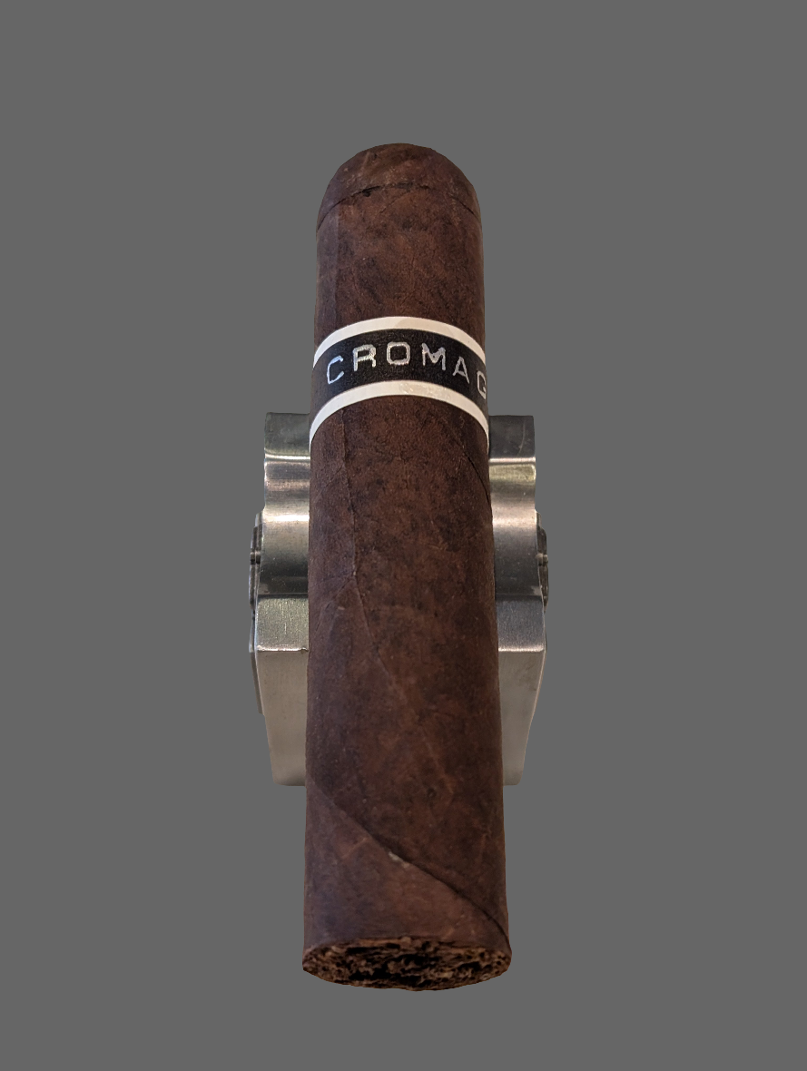 RoMa Craft CroMagnon PA Mandible