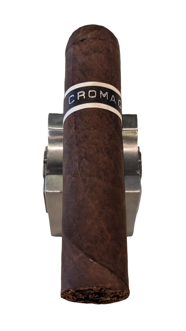 RoMa Craft CroMagnon PA Mandible