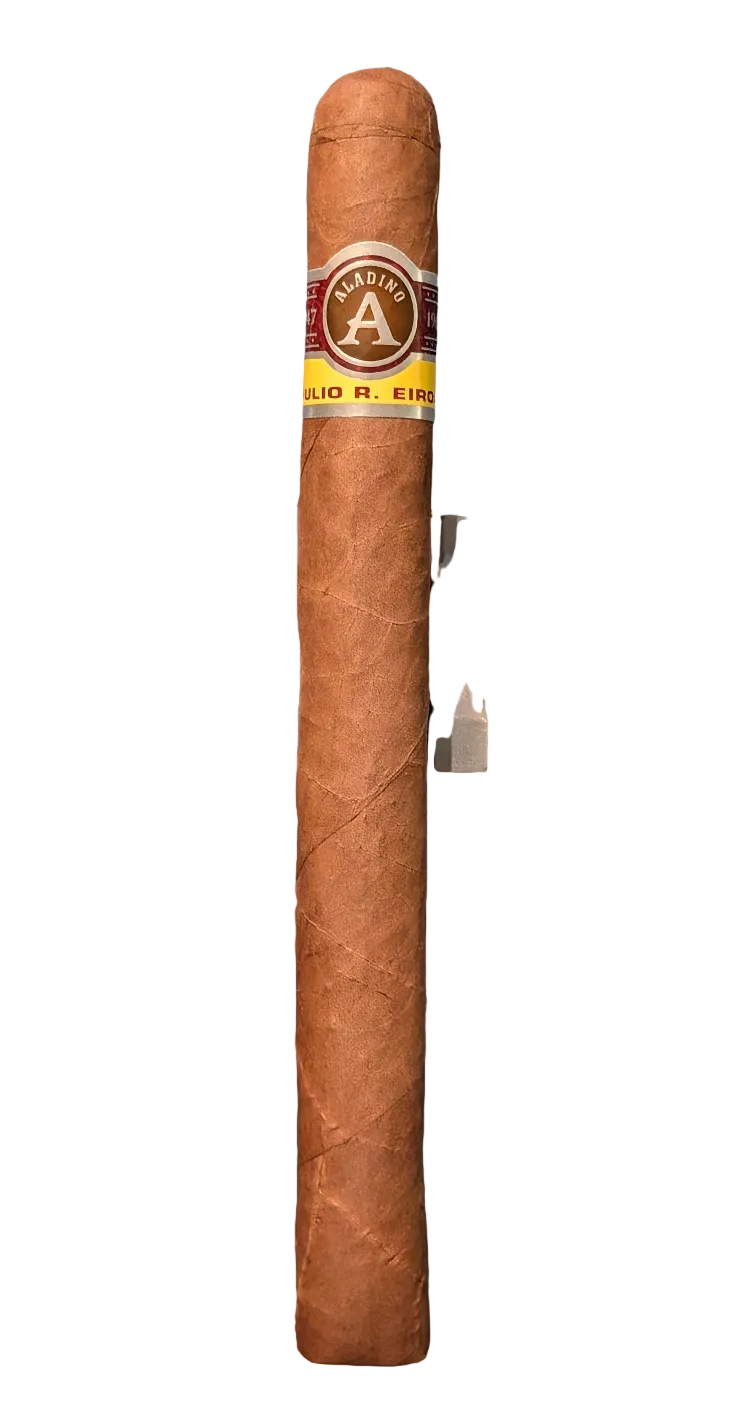 Aladino Churchill