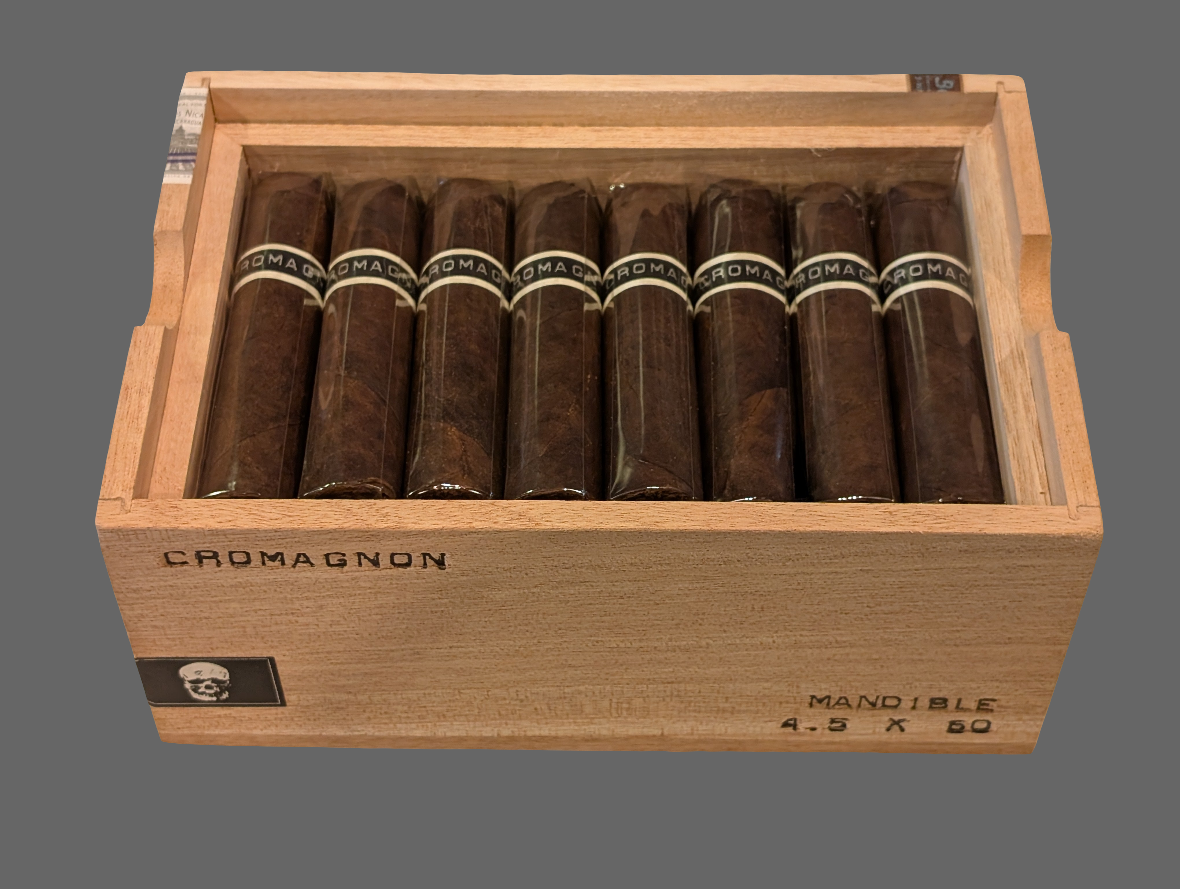 RoMa Craft CroMagnon PA Mandible Bx