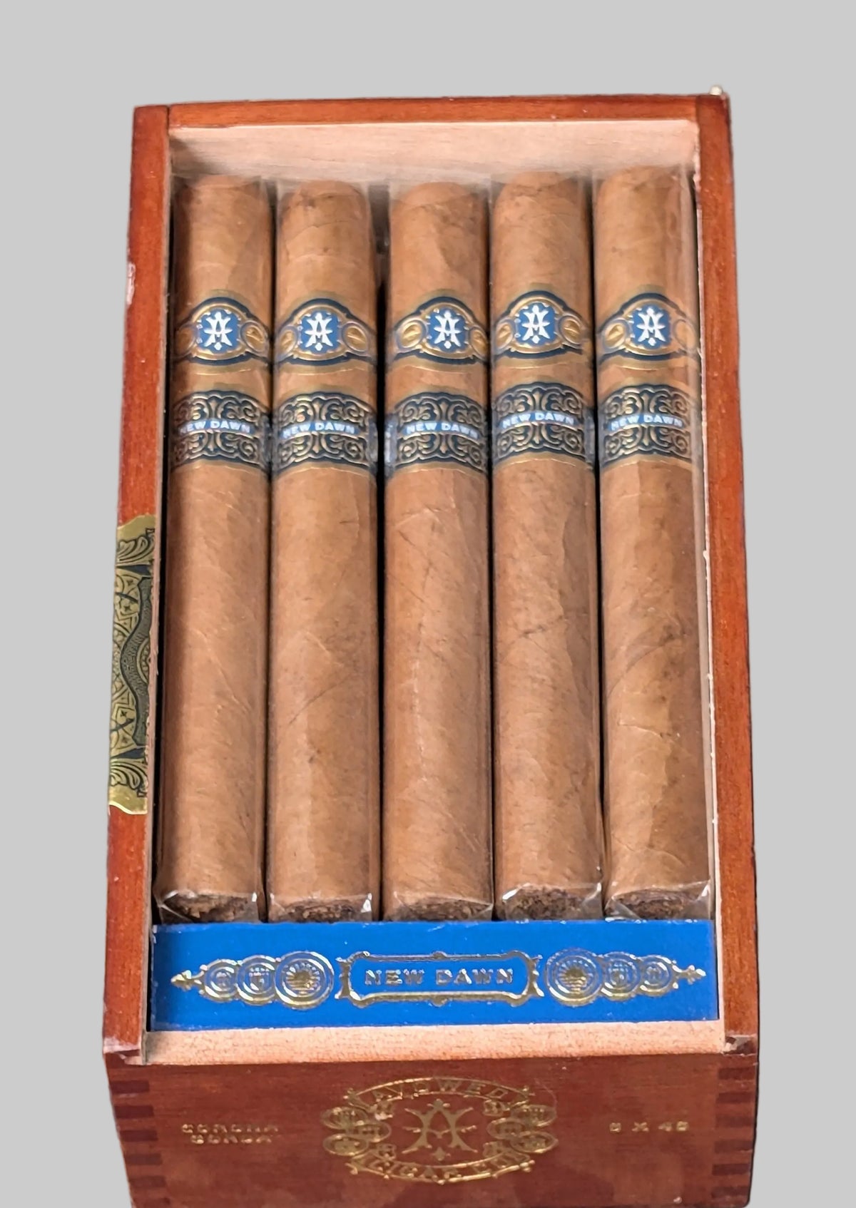 New Dawn Corona Gorda Bx