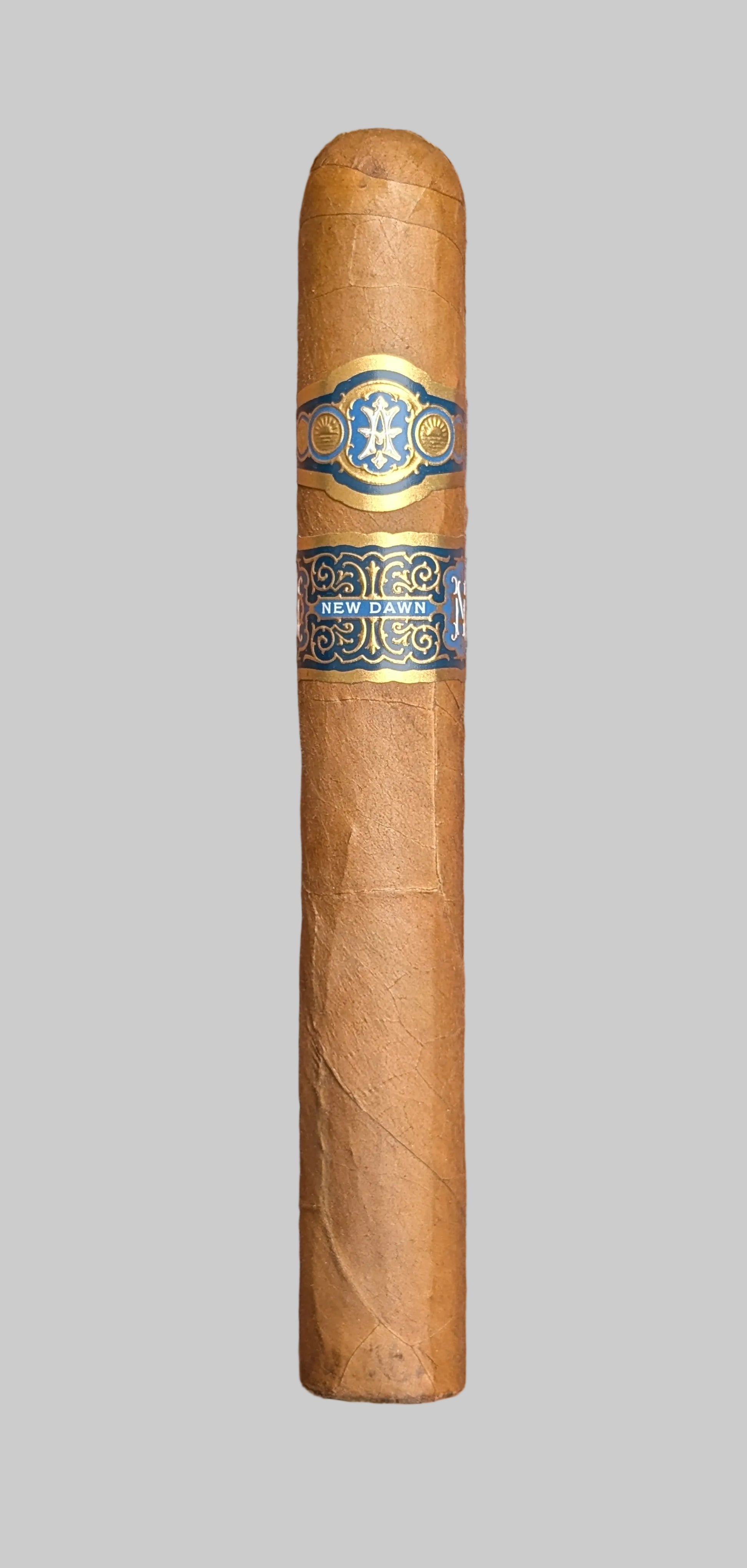 New Dawn Toro