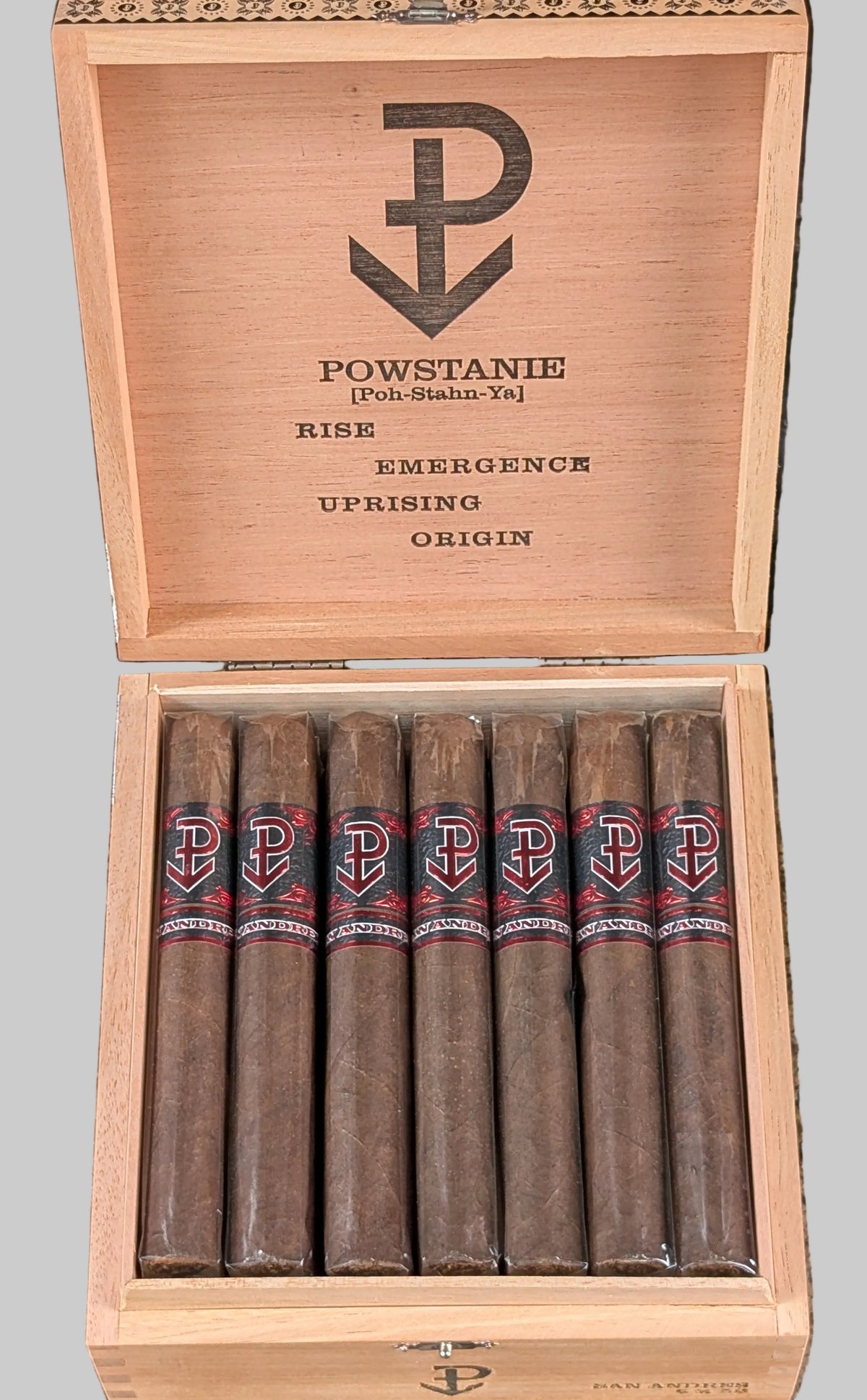 Powstanie San Andres Toro Bx