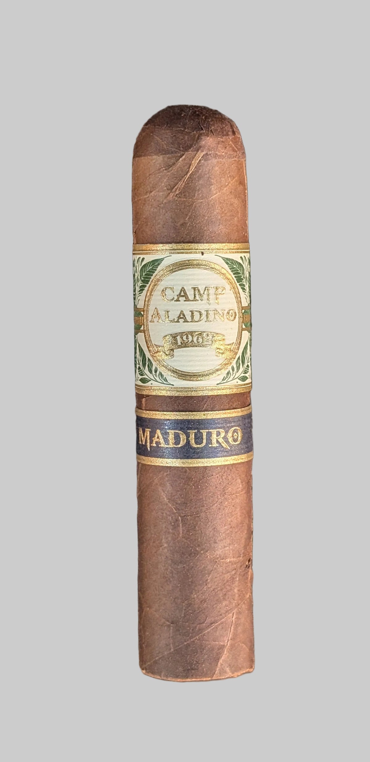 Camp Aladino Gorbusto Maduro