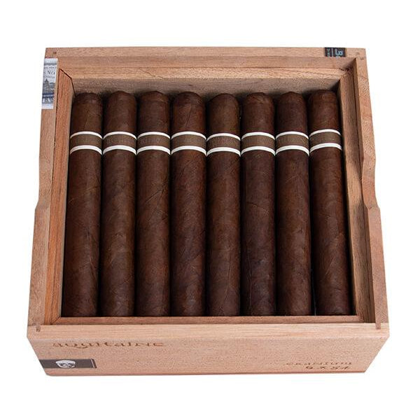 Aquitaine Cranium Box