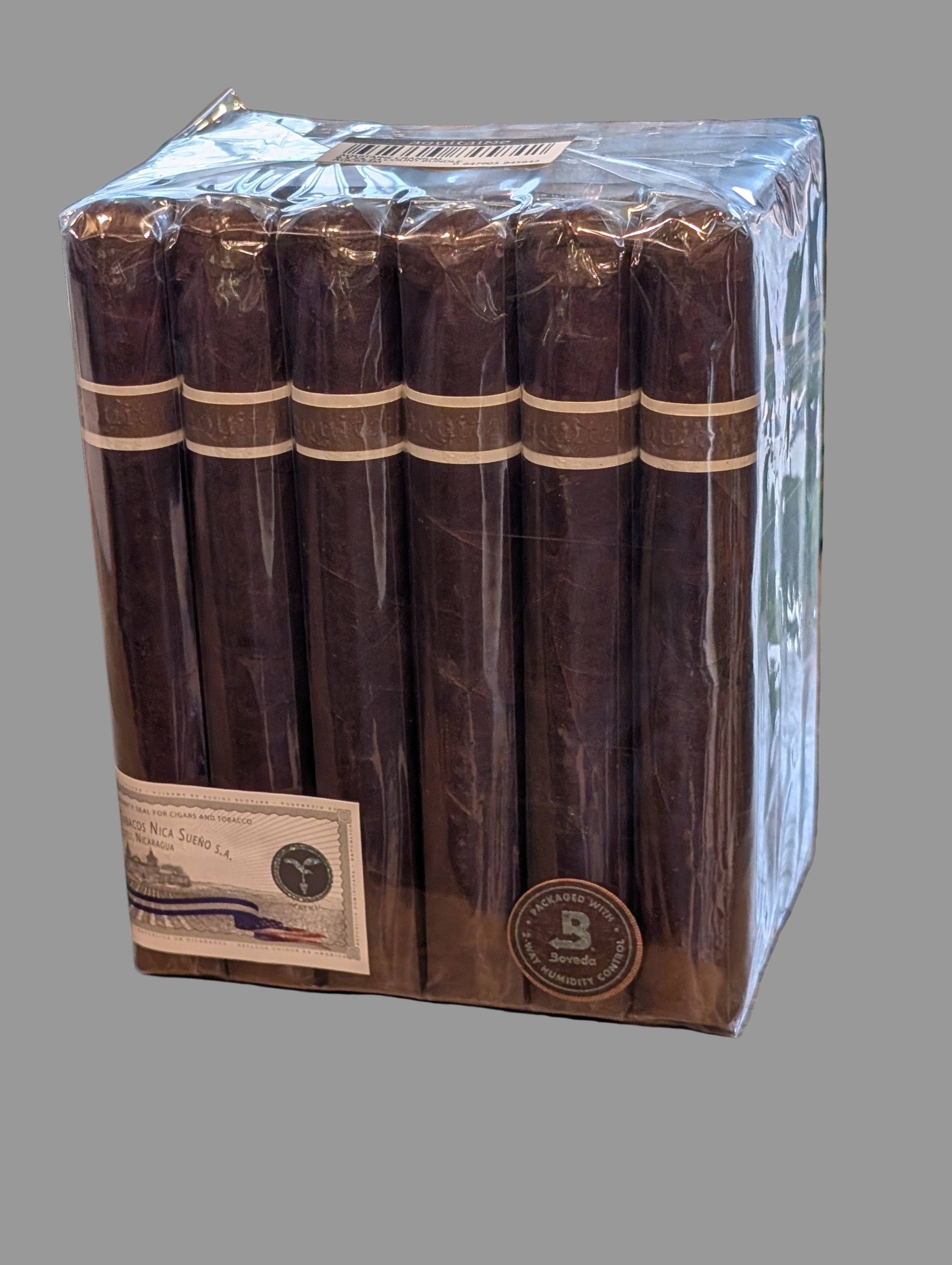 Aquitaine Cranium Bdl