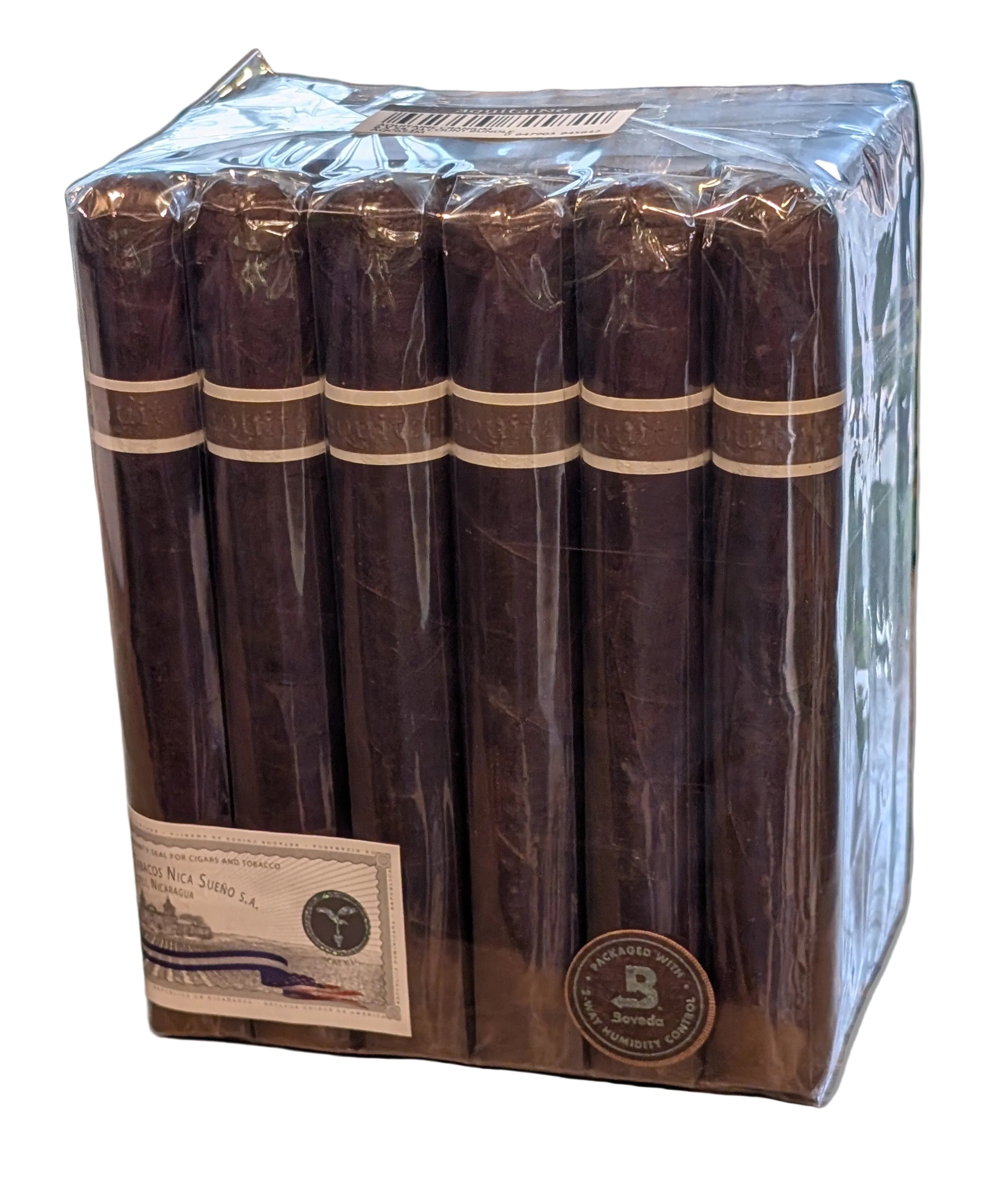 Aquitaine Cranium Bundle