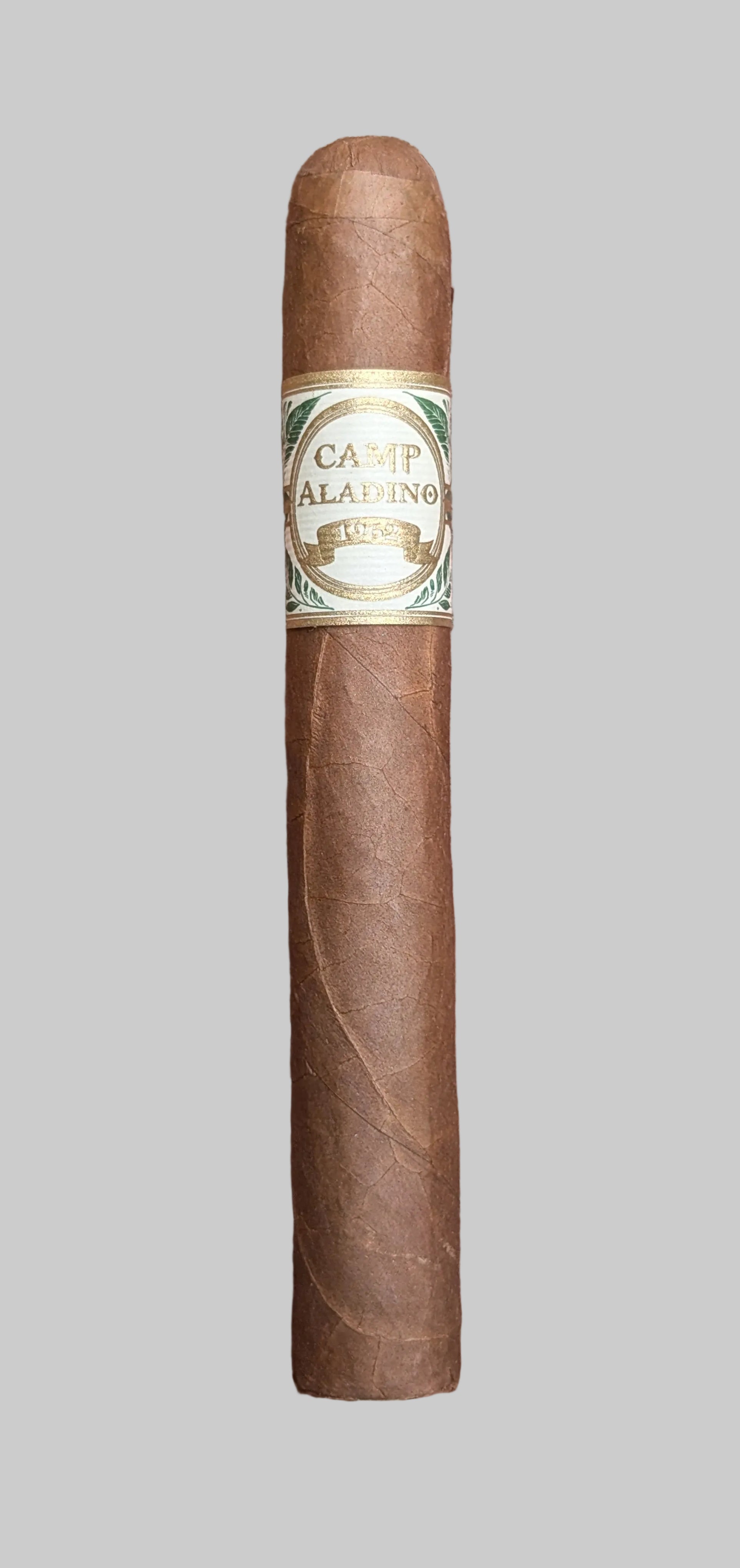 Camp Aladino Toro