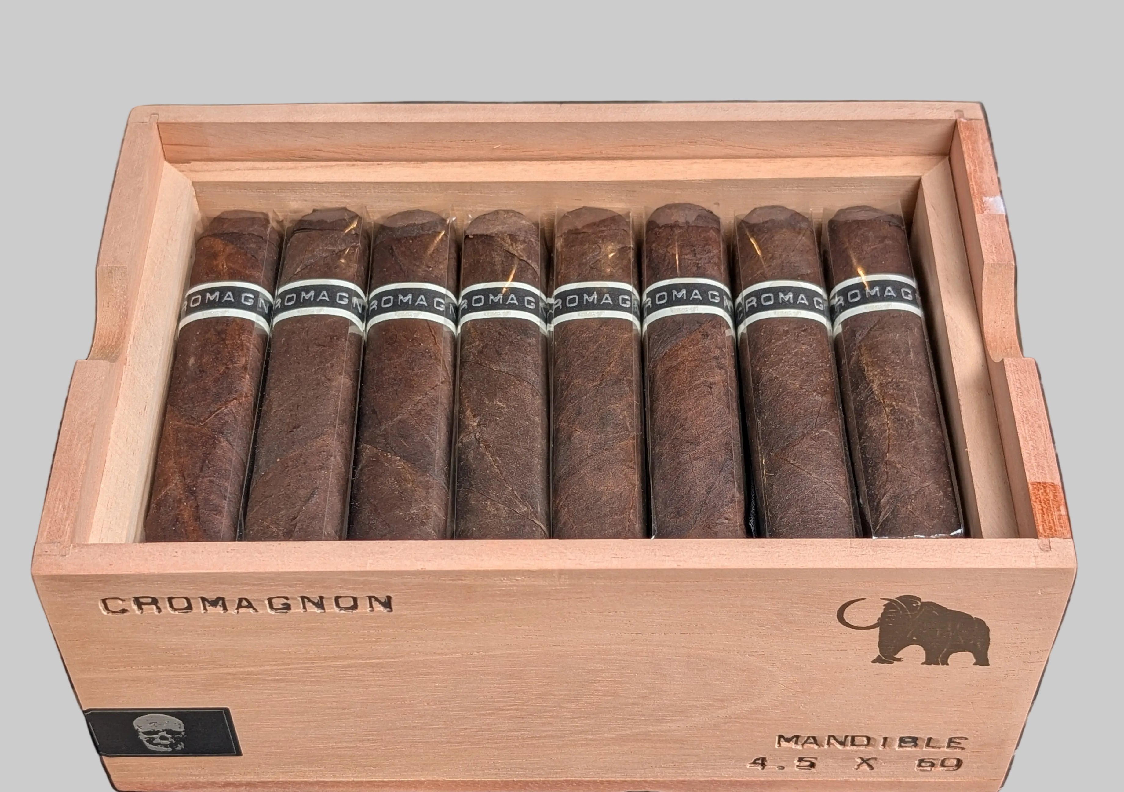 RoMa Craft CroMagnon Mandible Mastodon Bx