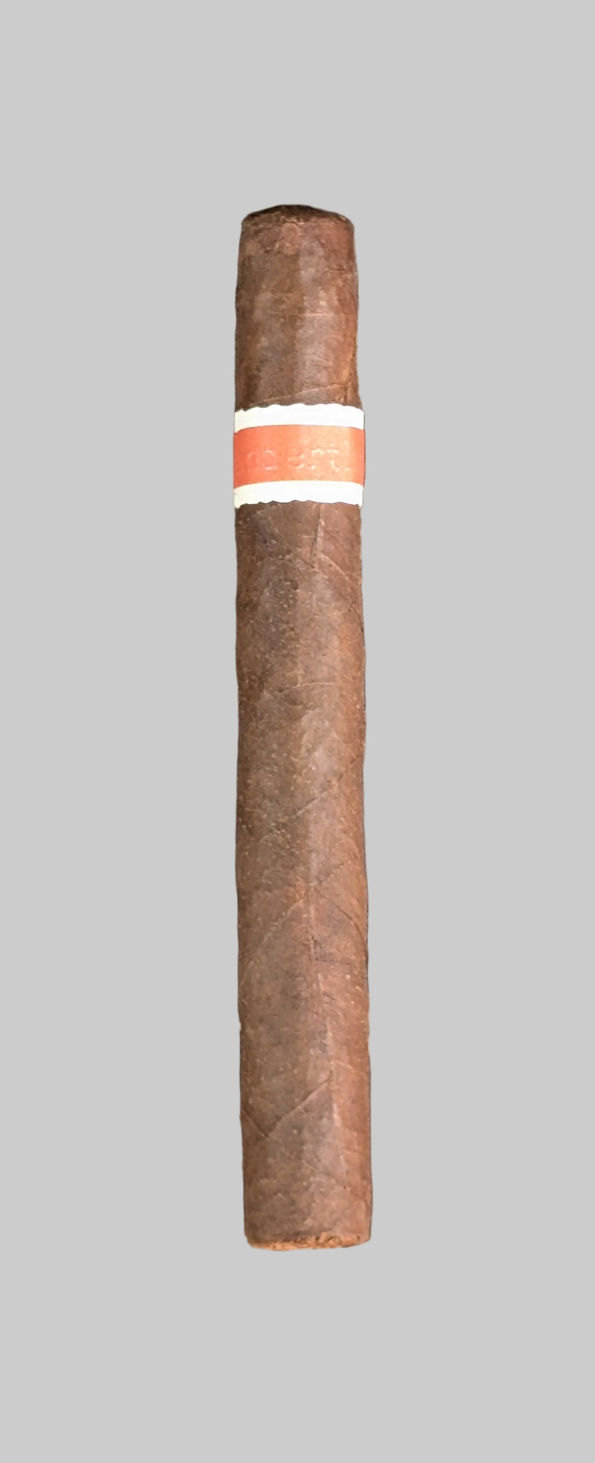 RoMa Craft Neanderthal HS