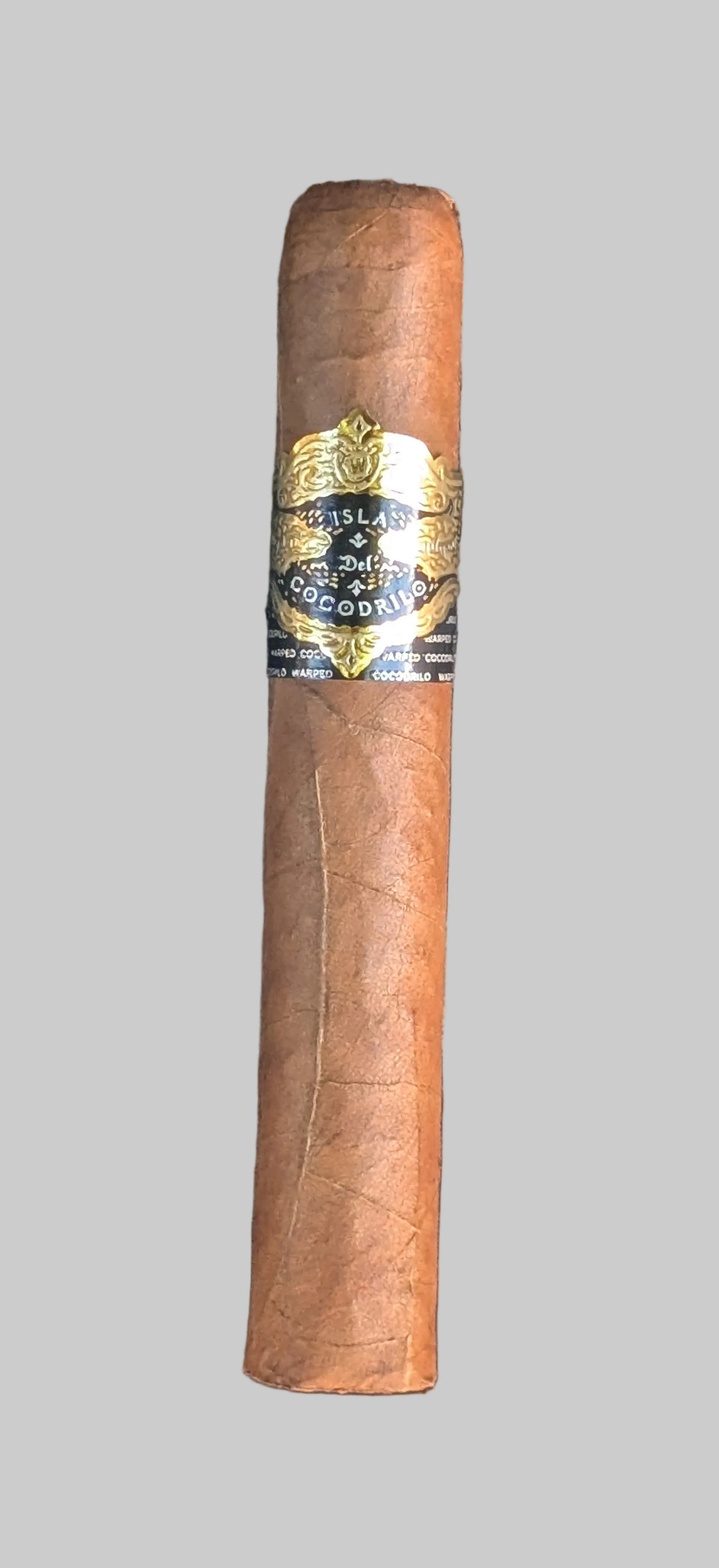 Isla del Cocodrilo Robusto