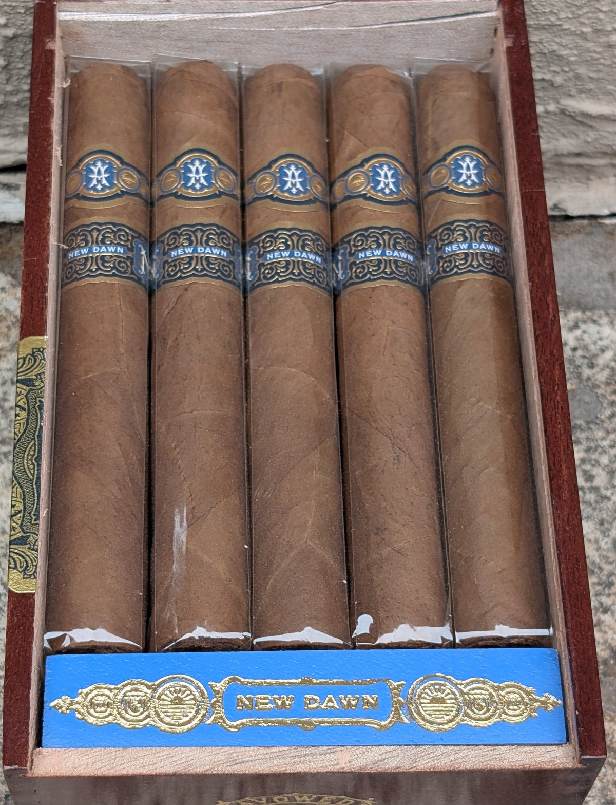 New Dawn Toro Bx