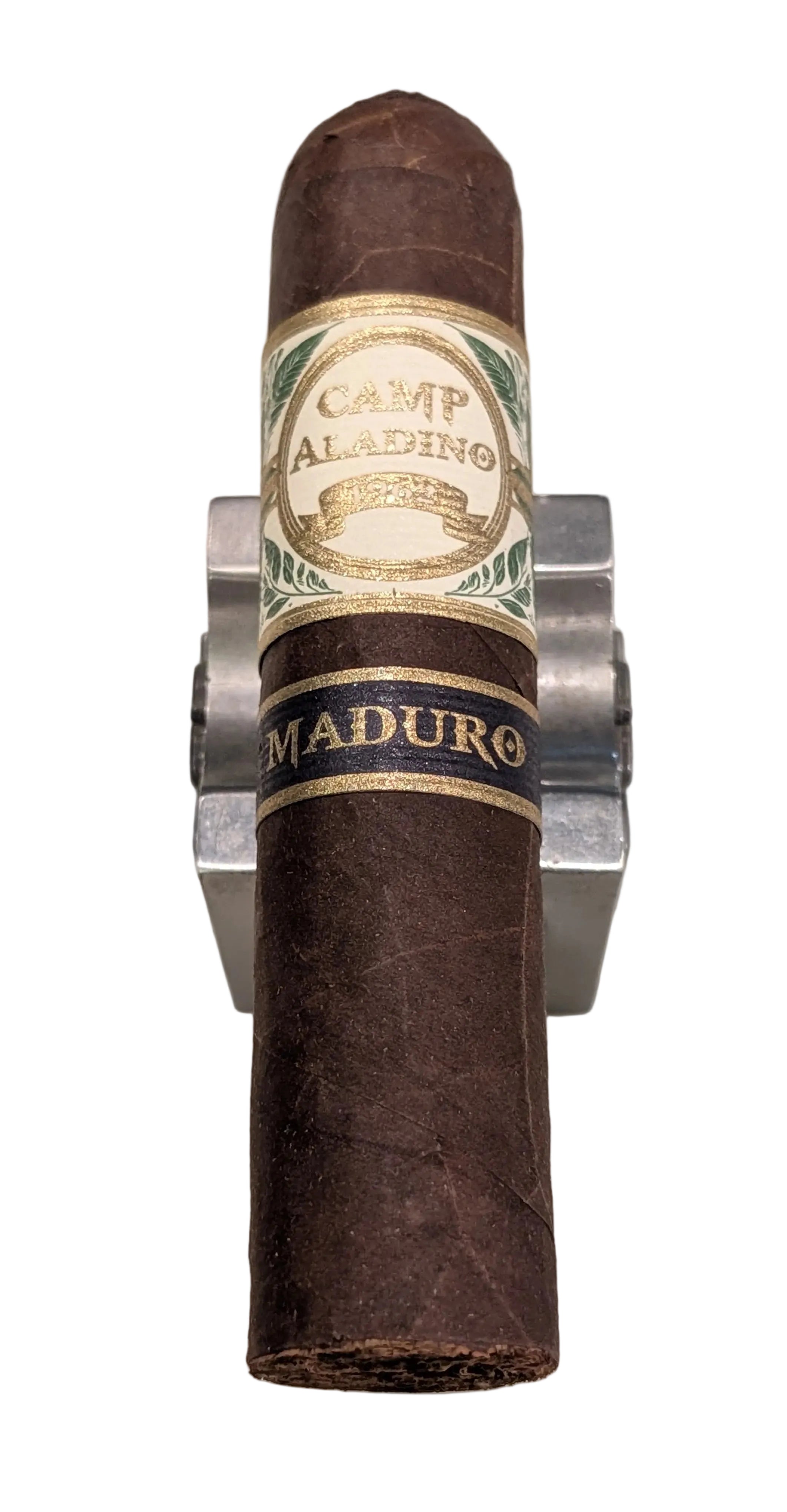 Camp Aladino Gorbusto Maduro