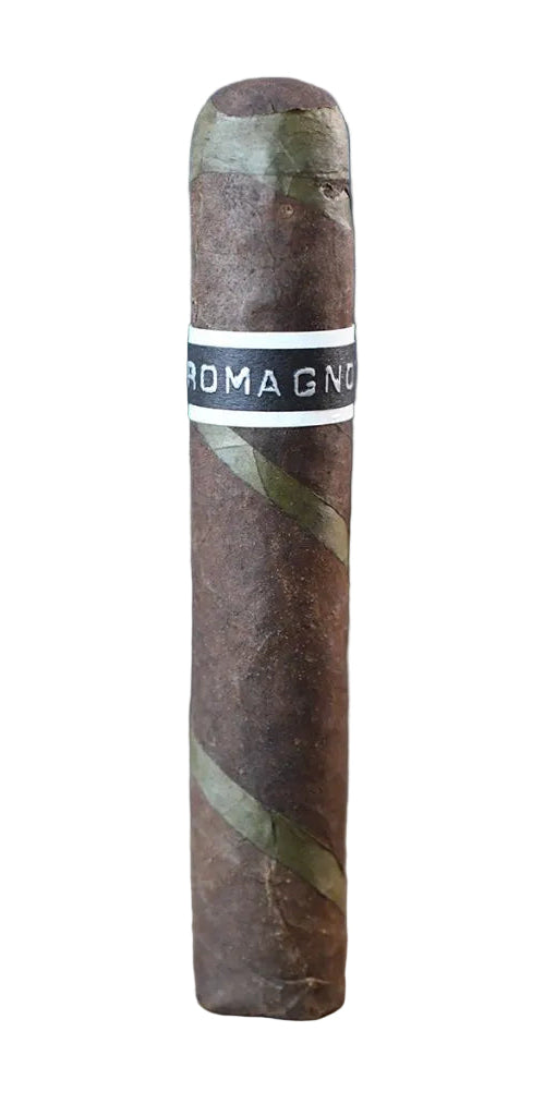 RoMa Craft CroMagnon EMH Clovis