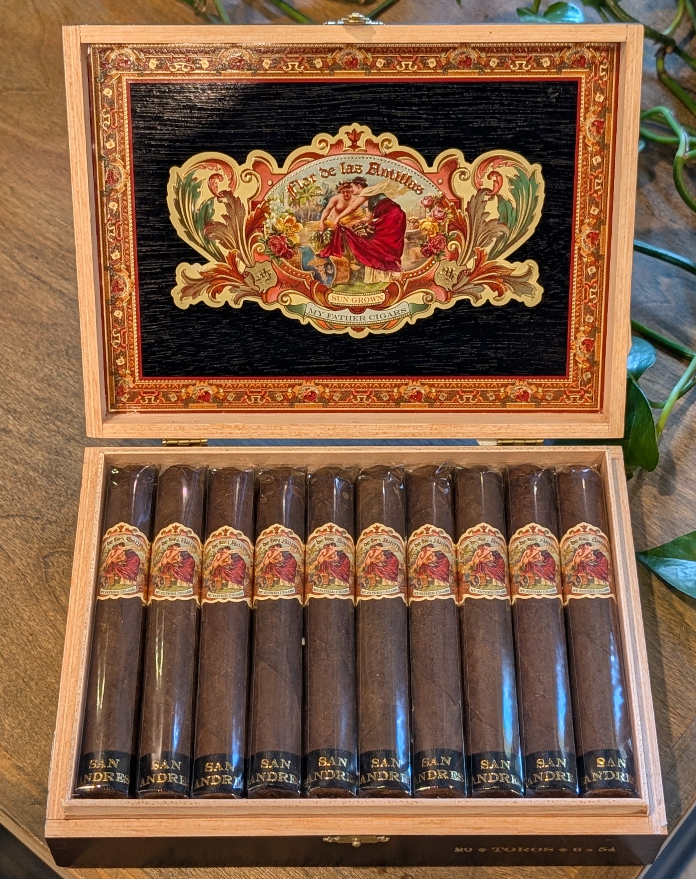 Flor de las Antillas San Andreas Toro Bx