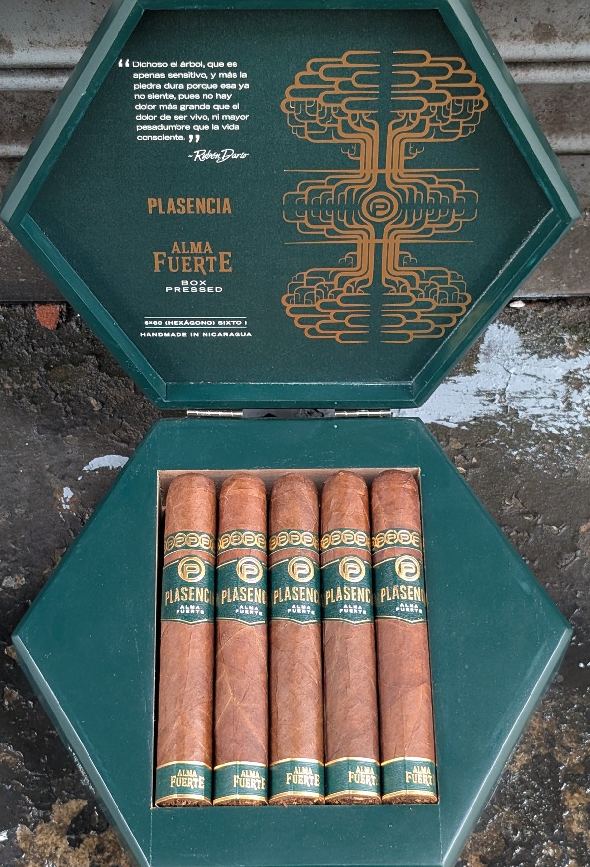 Plasencia Alma Fuerte Natural Sixto I Bx