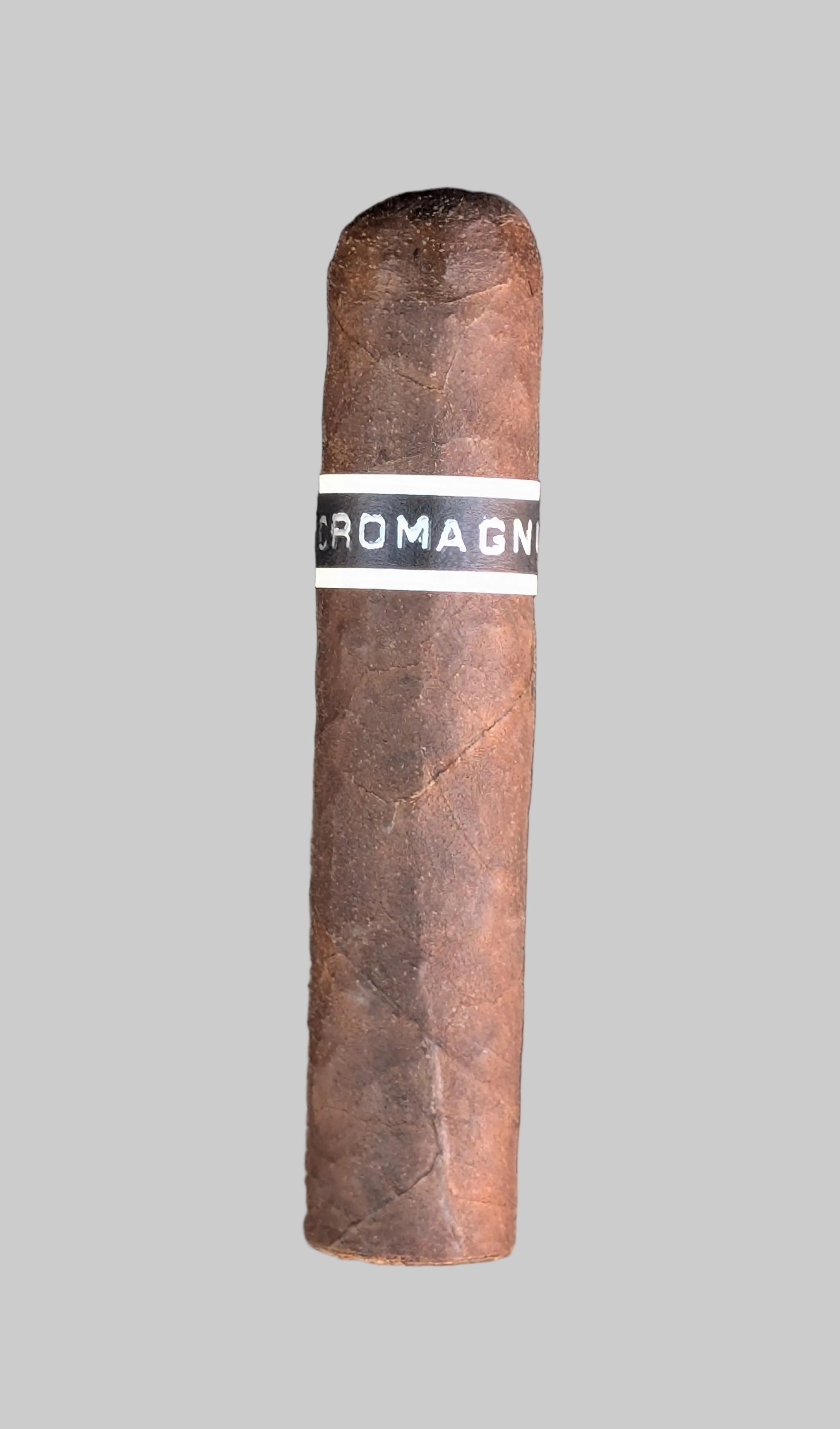 RoMa Craft CroMagnon PA Mandible