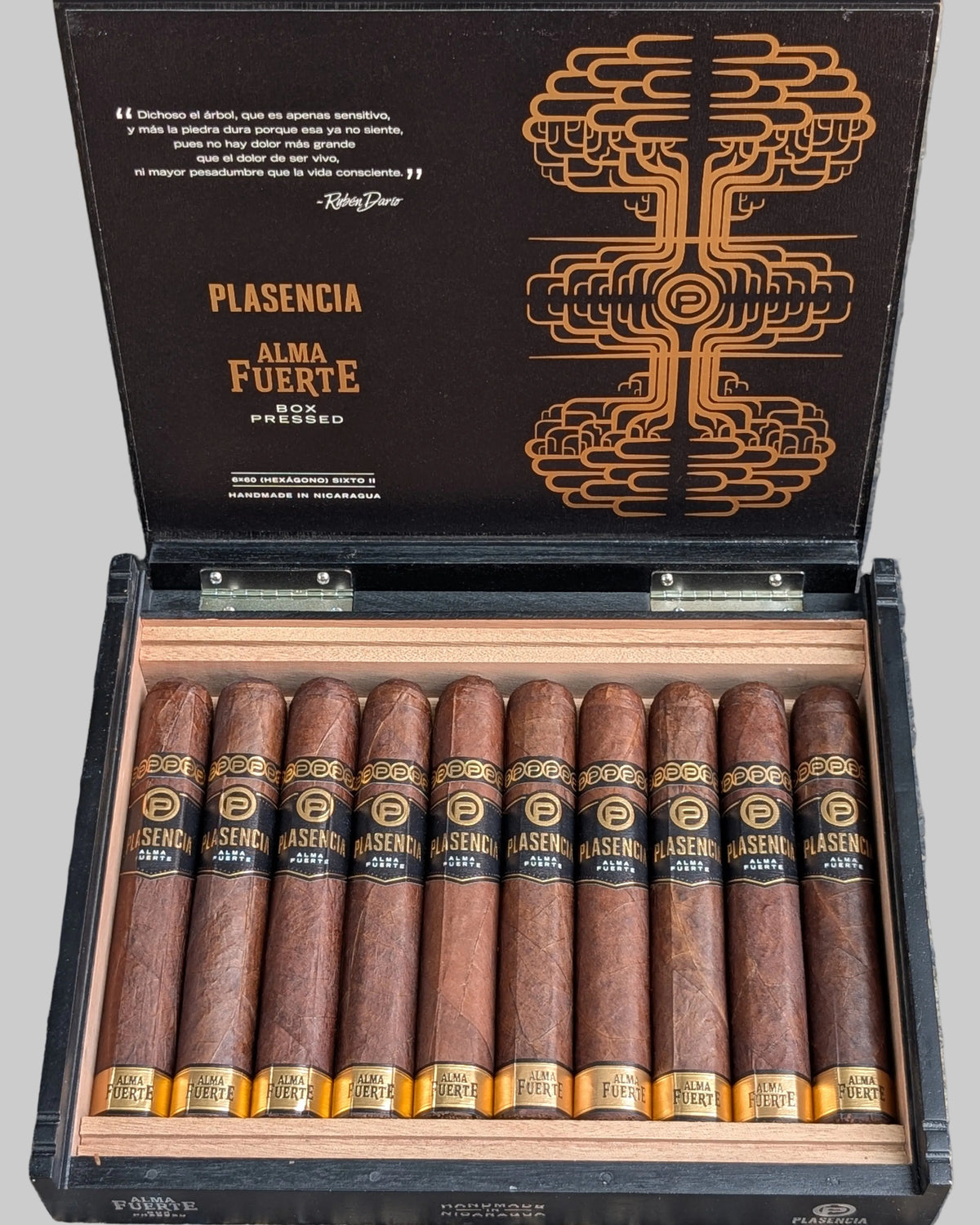 Plasencia Alma Fuerte Sixto II Bx
