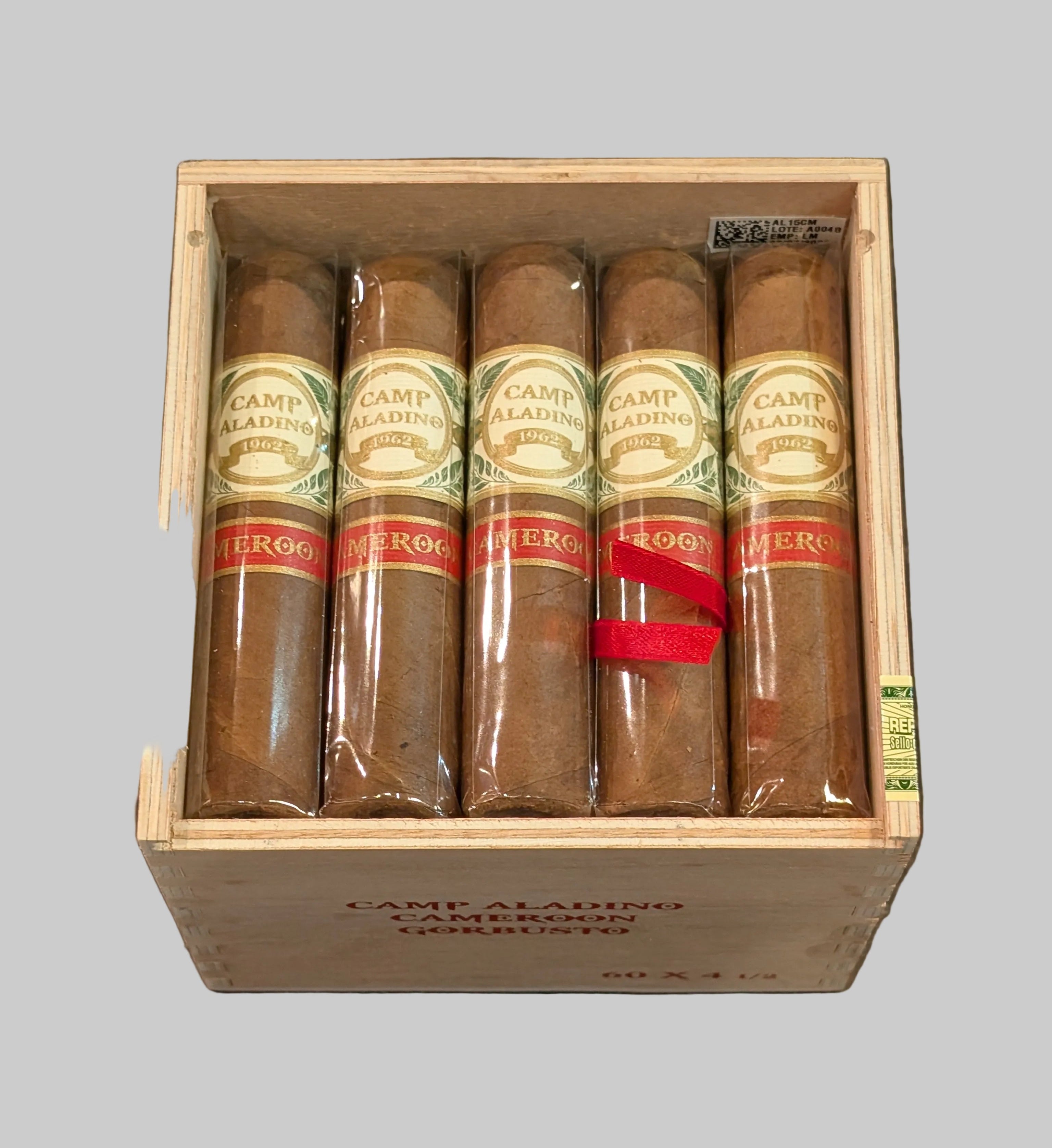 Camp Aladino Gorbusto Cameroon Bx