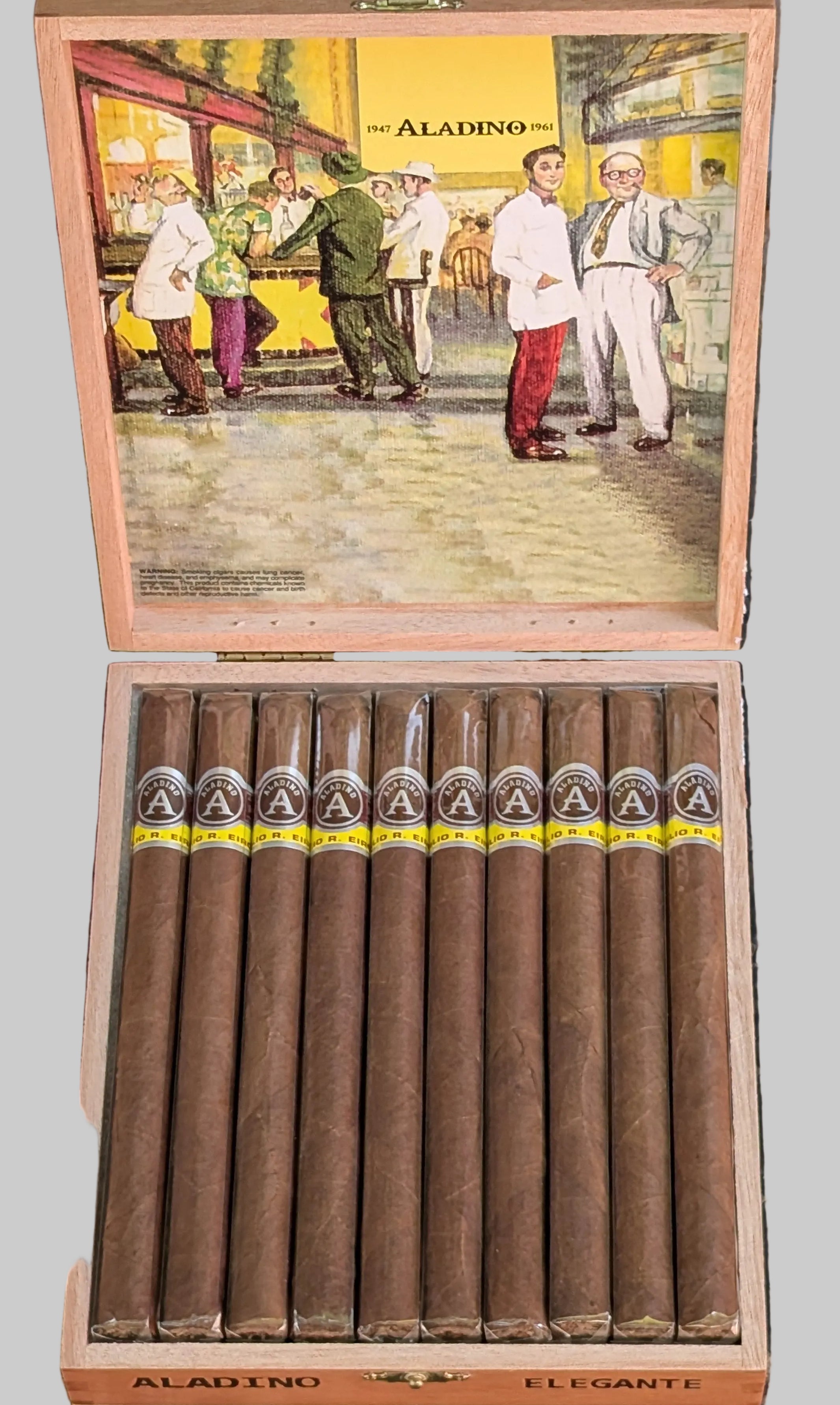 Aladino Elegante Bx