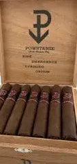 Powstanie San Andres Toro Bx