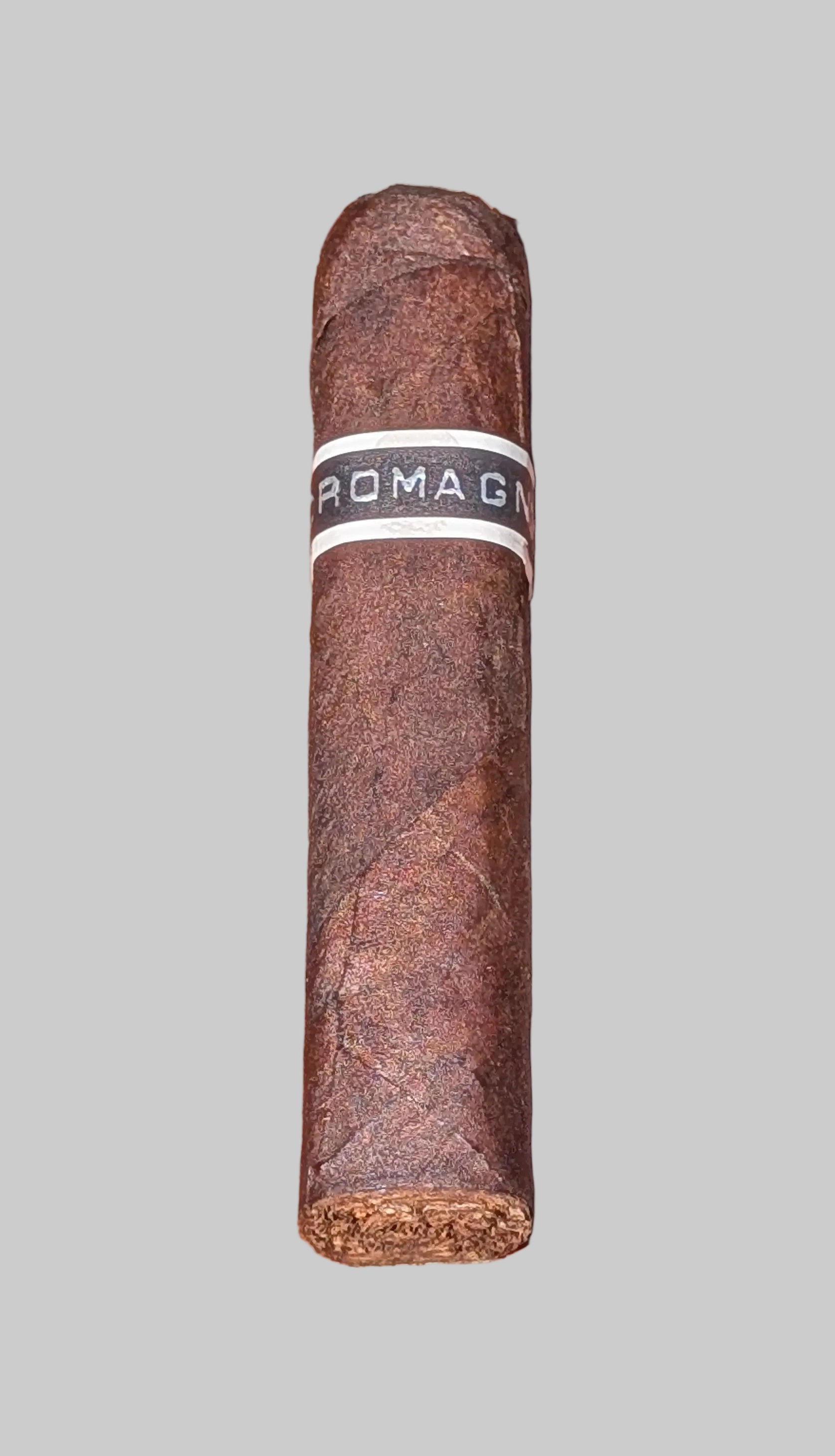 RoMa Craft CroMagnon PA Mandible Mastodon