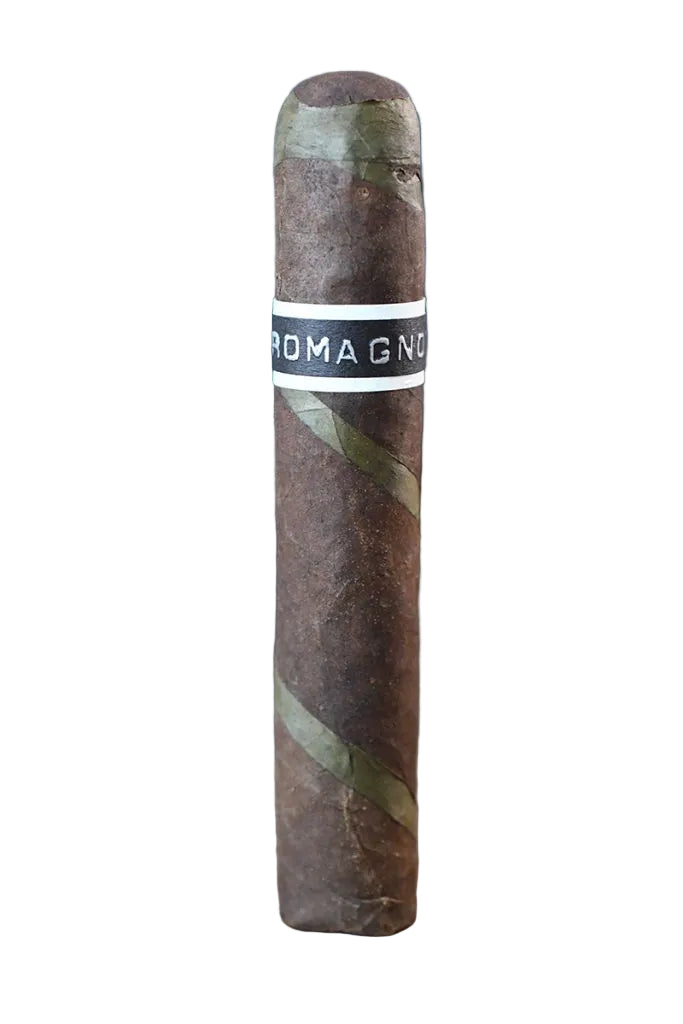 RoMa Craft CroMagnon EMH Clovis